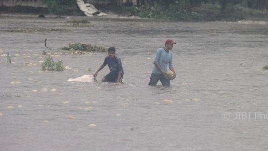 Ratusan Kolam Ikan Petani di Bantul Ludes Tergerus Banjir