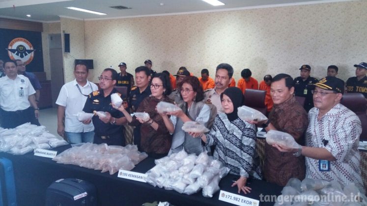 BC Soetta Gagalkan Penyelundupan Benih Lobster Senilai Rp14,4 Miliar