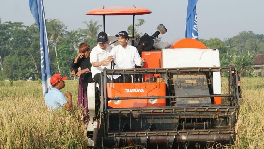 Menteri Rini Lakukan Panen Raya Bersama Petani di Kabupaten Karawang Jawa Barat