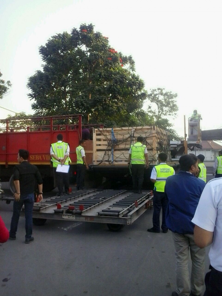 Genjot Ekspor, JAS dan AP I Tangani Pengiriman 34.404 Ton Domba ke Malaysia