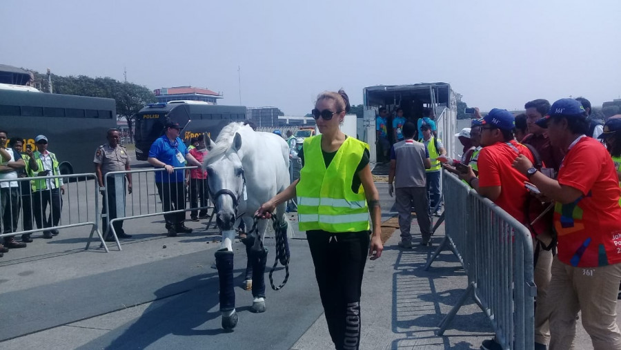 Kuda Pacu Asian Games Kembali Mendarat di Soetta