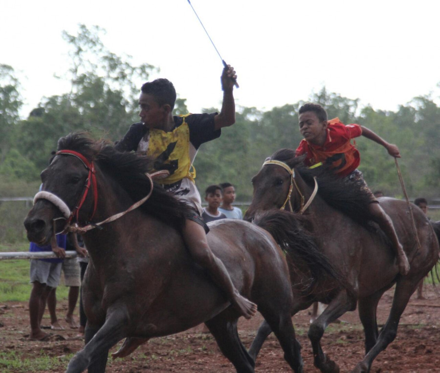 Pacuan Kuda Piala Gubernur NTT Sedot Perhatian Wisman