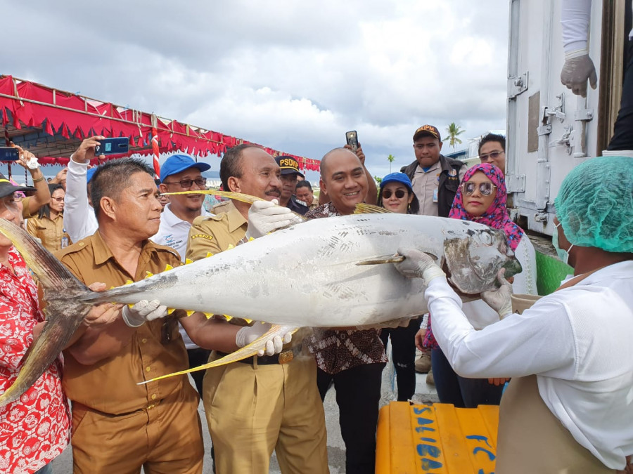 Tol Laut, Pemkot Talaud Kapalkan 15 Ton Ikan ke Surabaya