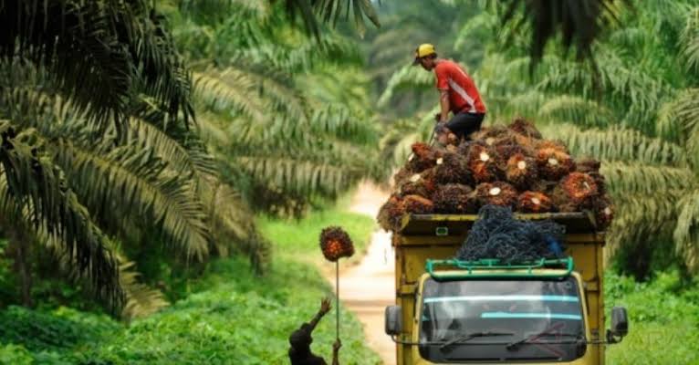 Indonesia Berpeluang Jadi Produsen BBN Dunia