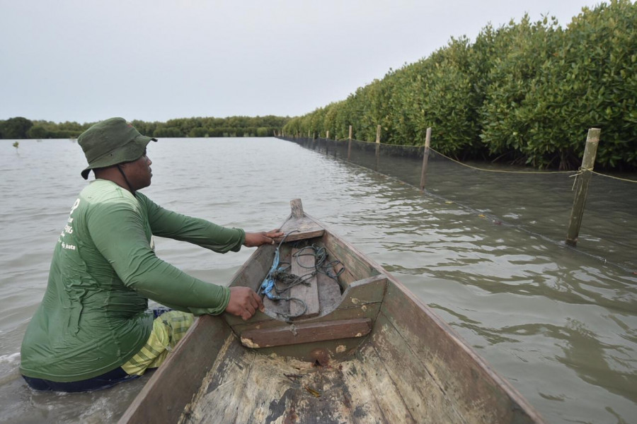 PHE Lindungi Kawasan Pesisir dan Konservasi Mangrove Melalui Inovasi Waring