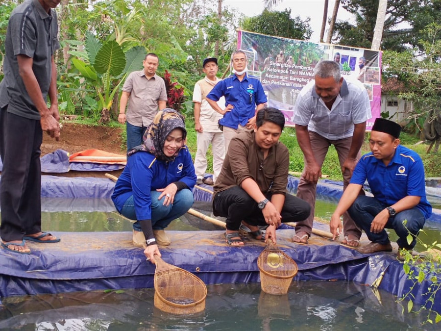 Dapat Suntikan Modal, Poktan Wannajaya Kembali Bangun 25 Kolam Ikan Terpadu