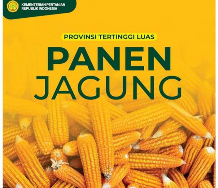 Tingkatkan Kualitas Produksi Jagung, Kementan Alat Pengering dan Silo
