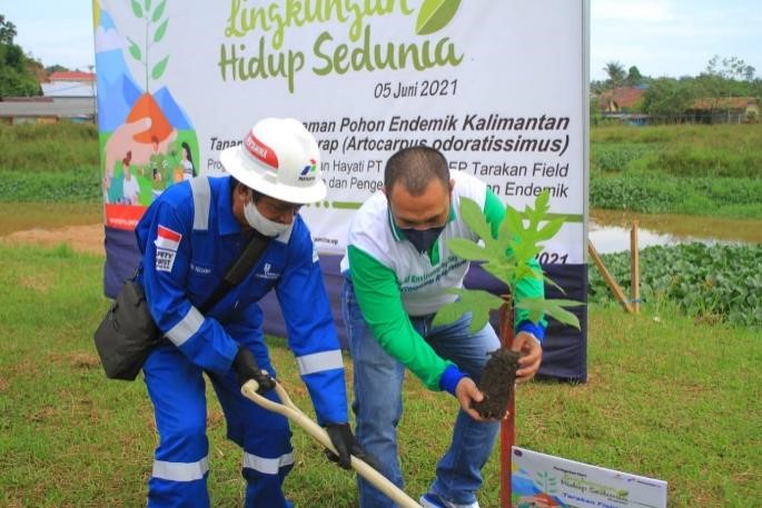 Pertamina EP Tarakan Field Dukung Budidaya Pohon Endemik Tarap Kalimantan
