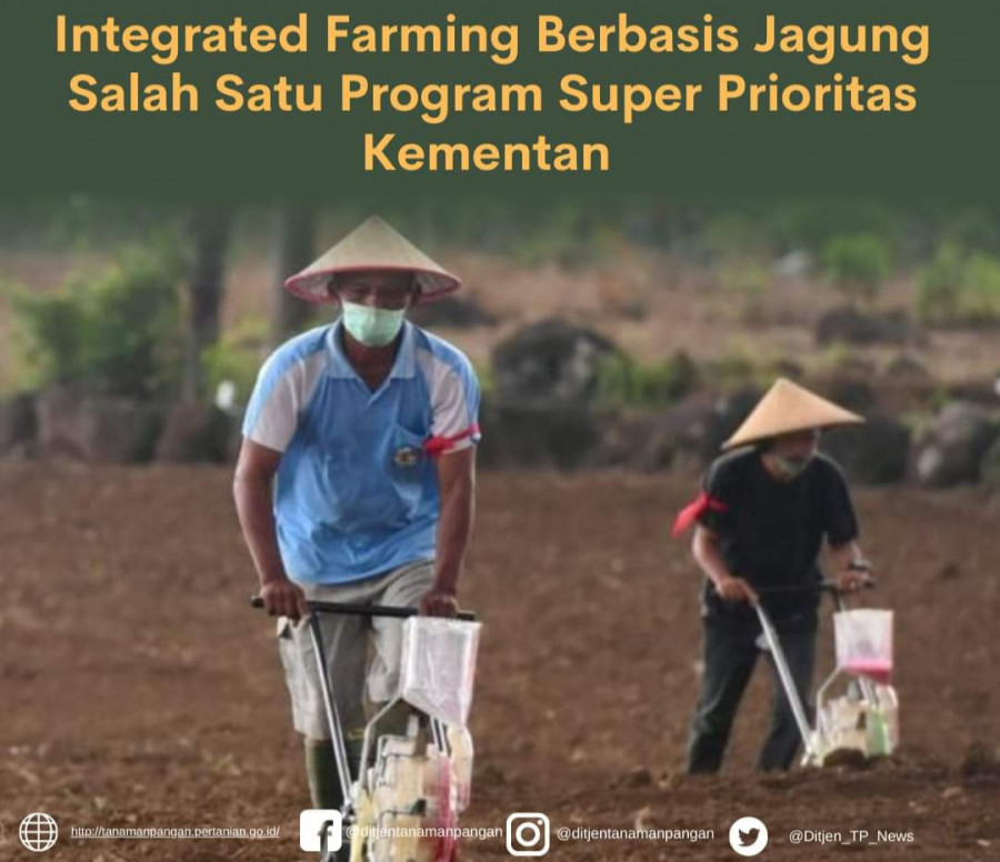 Kementan Kembangkan Program Integrated Farming Berbasis Jagung