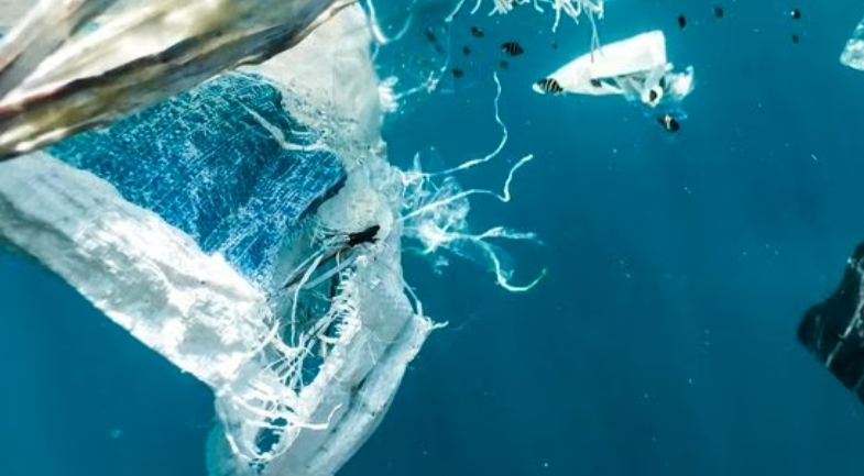 ASDP Memburu Limbah dan Sampah berupa Plastik di Laut dan Pelabuhan