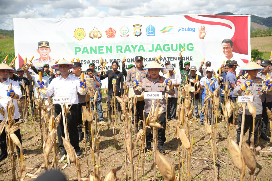 Kapolri-Mentan Panen Raya Jagung di Bone