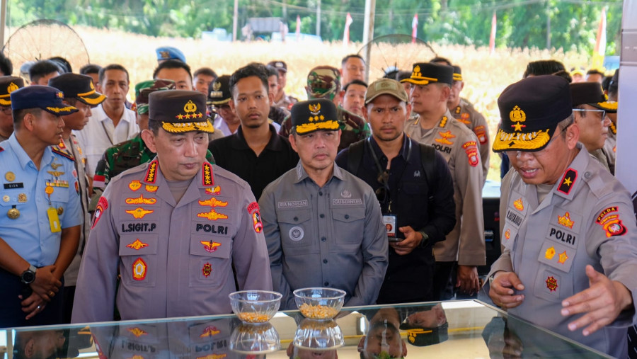 Presiden Prabowo Dijadwal Panen Jagung Bengkayang, Sanggau Ledo Kalbar
