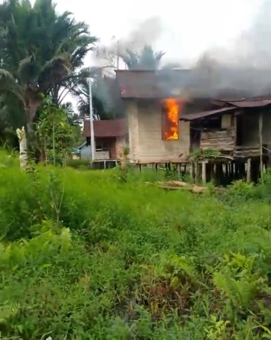 Warga Sipil di Asmat, Kembali Jadi Korban KKB, Menembak fan Membakar Rumah