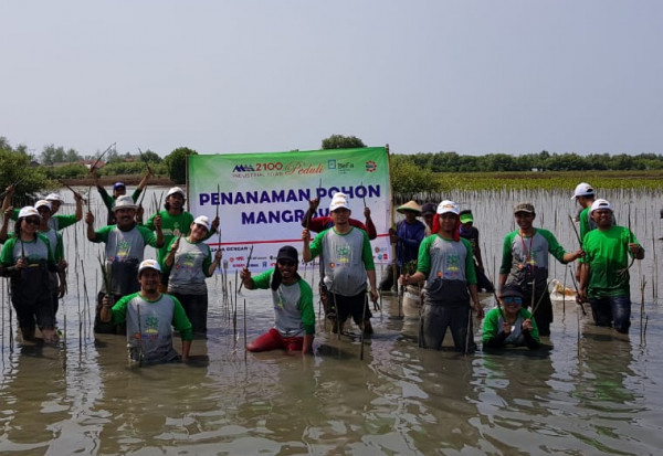 Best Kembali Tanam Ribuan Mangrove Di Muara Gembong