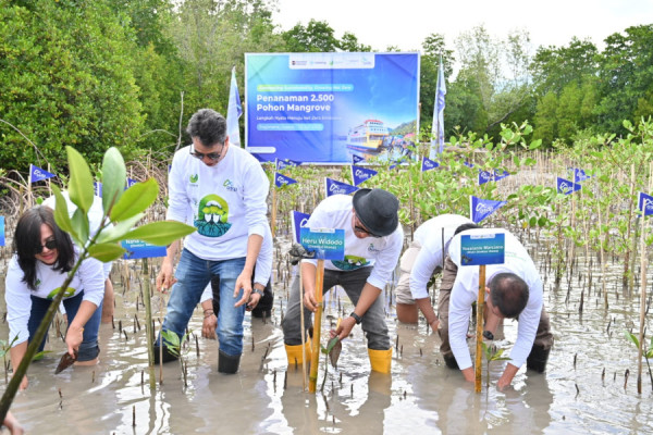 Peduli Lingkungan ASDP Tanam 2.500 Pohon Mangrove di Kawasan Pesisir Pagimana 