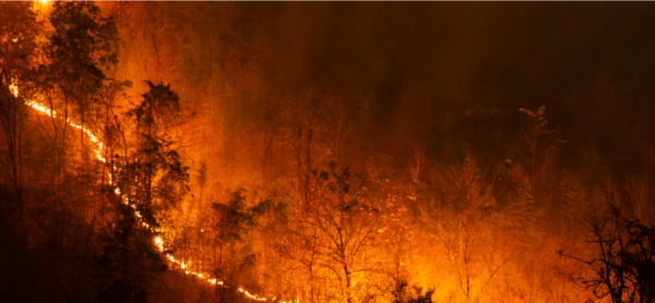 Ditjen Udara  Terbitkan Uzin Pesawat Registrasi Asing Tangani Kebakaran Hutan