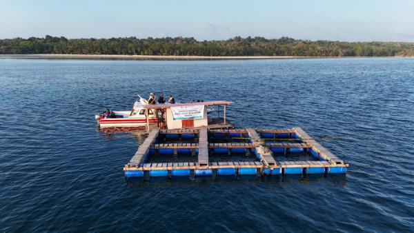 PELNI Kembangkan Ekosistem Bisnis Kelautan dan Wisata Masyarakat Adat di Pulau Kapota