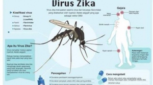 Garuda Siap Menangkal  Masuknya Virus Zika