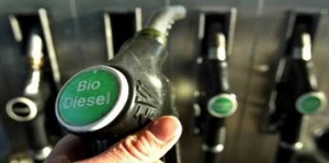 Gegara Biodiesel, AS Mulai Selidiki Indonesia