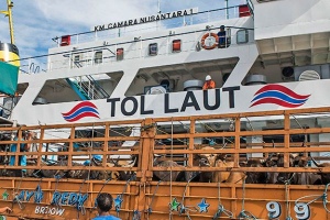 Biaya Logistik Baru Turun 10 Tahun Dari Sekarang