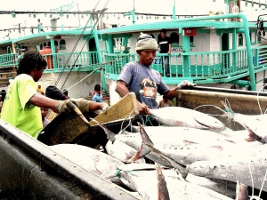 Swasta Bersama Pemerintah  Dapat Kembangkan Pelabuhan Tual