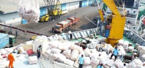 Sebagian Besar TKBM Belum Miliki Sertifikat Keterampilan