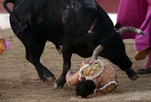 Matador Ivan Fandino Tewas Ditanduk Banteng