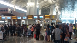 OTP Garuda Sempat Merosot Hinga Dibawah Angka 60 Persen