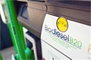 AS Pastikan, Selidiki Indonesia Dan Argentina
