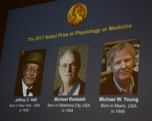 Trio Ahli Biologi AS Menangkan Hadiah Nobel Kedokteran
