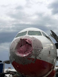 Hidung Pesawat Hancur, Pilot Inggris Lakukan Pendaratan Buta