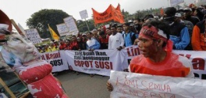 Bertemu Aliansi Nelayan, Istana Keluarkan Empat Rekomendasi Cantrang