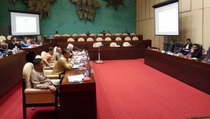 Penjelasan Ketua Umum INSA Carmelita Hartoto Saat  RDP Dengan Komisi V DPR RI 