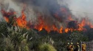 Titik Panas Api di Sumatera dan Kalimantan Menurun