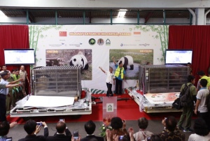Selamat Datang Di Indonesia Panda Raksasa
