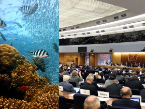 Bola Regulasi Manajemen Air Ballast dan BBM Rendah Sulfur Telah Bergulir