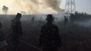 Kebakaran Hutan Meluas, Lima Provinsi di Kalimantan dan Sumatera Siaga Darurat