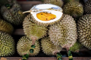 Ilmuwan Pecahkan Kode DNA Durian