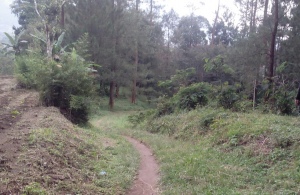 Pulosaren  dan Lima Desa di Wonogiri Masuk Desa Termiskin