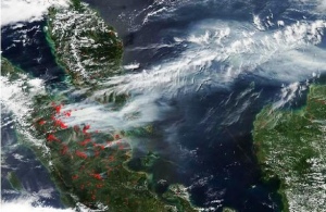 Rawan Kebakaran, Satelit BNPB Deteksi Ratusan Hot Spot