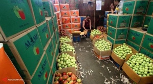 WTO Kabulkan Gugatan AS Terhadap Indonesia
