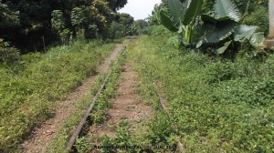 Jalur KA Ruas Cianjur - Padalarang Kembali Akan  Diaktifkan
