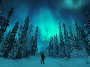 Finlandia dan Singapura Termasuk Negara Teraman Untuk Wisata Solo