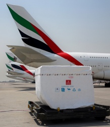 Emirates SkyCargo Tawarkan Perlindungan Kargo Di Segala Cuaca
