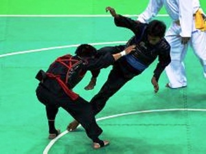 IPSI Bidik Minimal Tiga Emas Pada SEA Games 2017