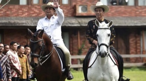 Kasus Hukum, Satu Persatu Geser Ke Jokowi, Setelah HT dan Arief Siapa Lagi ...