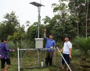 Cegah Kebakaran Hutan, Pemerintah Terbitkan Regulasi