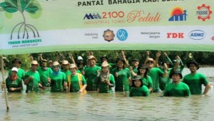 BEST Tanam  Ribuan Pohon  Mangrove di Muara Gembong