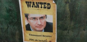 Susu Lactalis Perancis Terkontaminasi Salmonela