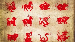Sifat Kepribadian Terbaik Berdasarkan Zodiak China